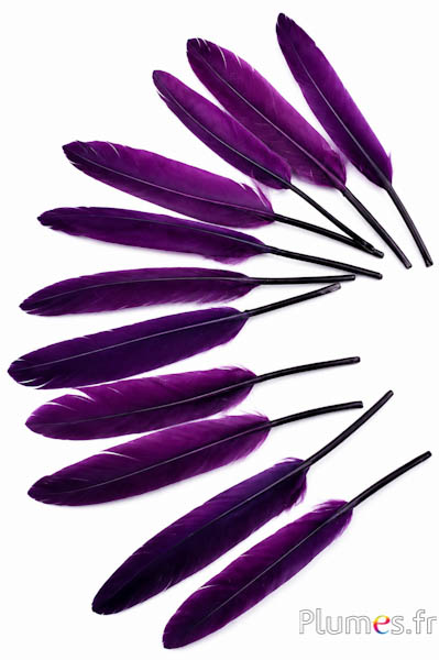 Gans - 10-15 cm - pruim-aubergine